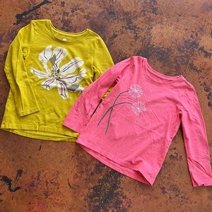 2 Tea Collection long sleeve tee shirts in great condition